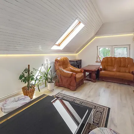 1 Bedroom Cozy In Apartamento *